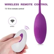 Kép 2/6 - Passion Labs - Egg Vibrator Kate - 10 funkciós, wireless vibrotojás (USB) - lila