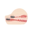 Kép 6/11 - Debra - Nature Skin Masturbator - élethű vagina és ánusz maszturbátor dupla wired vibrotojással (natúr)