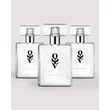 Kép 4/4 - Obsessive - Perfumy Floral-fruity -  feromon parfüm hölgyeknek (30ml)