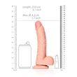 Kép 7/7 - RealRock - 8&quot; Curved Realistic Dildo Balls Suction Cup - rögzíthető, herés, élethű dildó (20,5cm) - testszínű