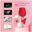 Kép 16/16 - Boss Series - Flirting Partner - 10 funkciós csiklóizgató rózsa-vibrátor és masszírozó (USB) - piros