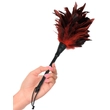 Kép 4/4 - Fetish Fantasy Series - Frisky Feather Duster - madártollas csiklandozó (fekete/vörös)