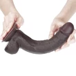 Kép 15/19 - Lovetoy - 9,5&quot; Sliding-Skin Dual Layer Dong - rögzíthető, herés, élethű dildó (24cm) - barna